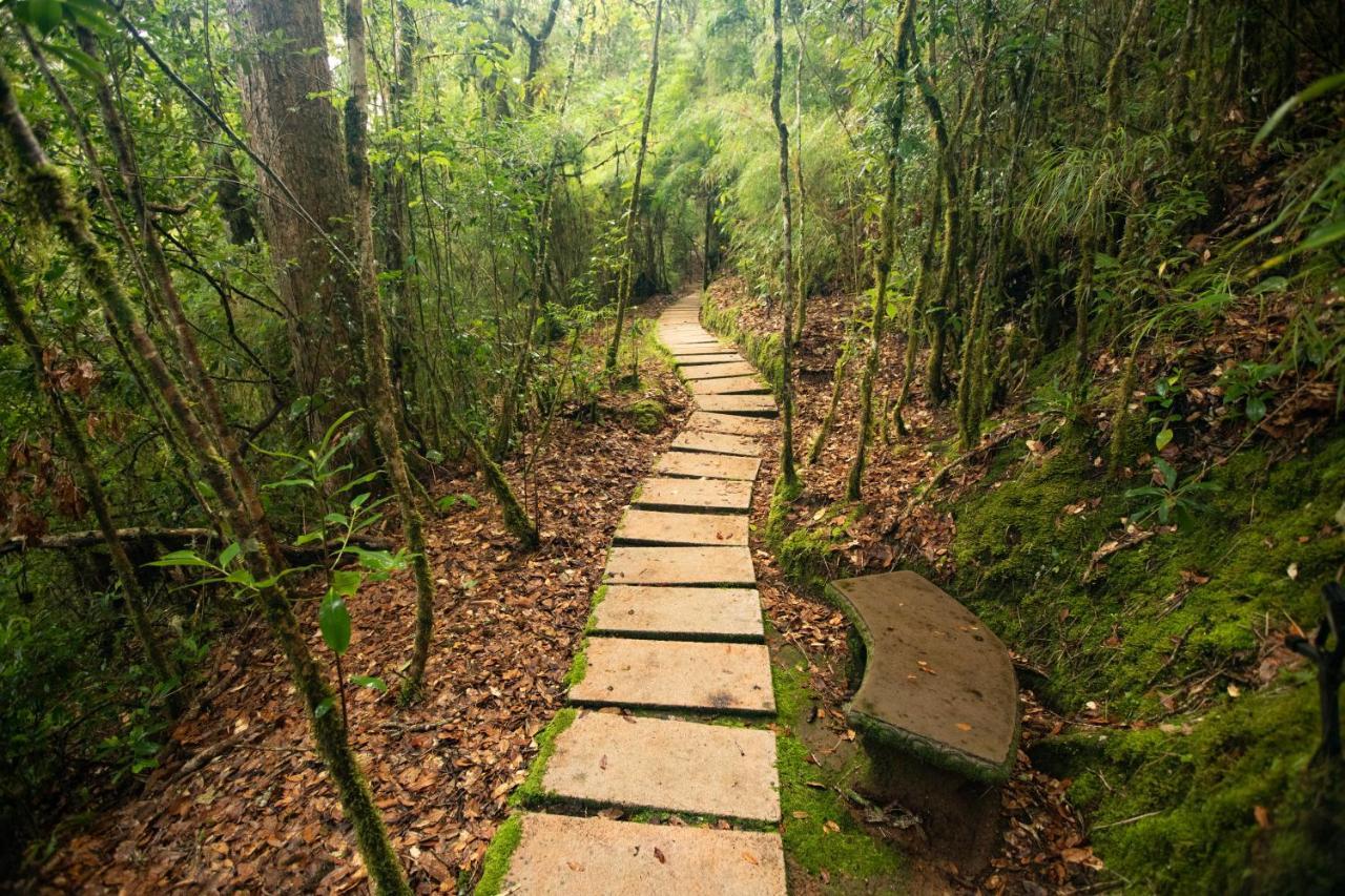 Dantica Cloud Forest Lodge Сан Херардо де Дота Екстериор снимка