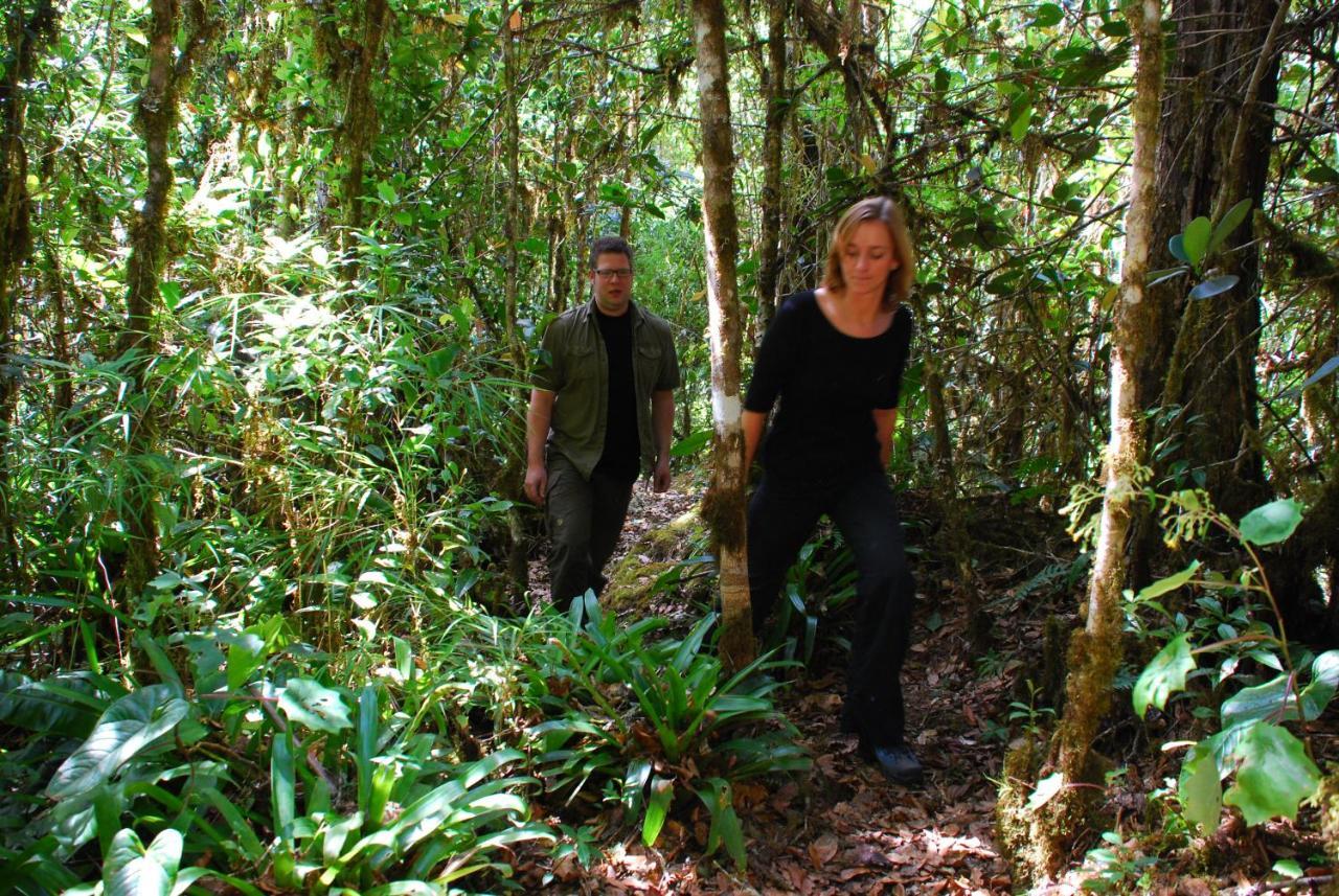 Dantica Cloud Forest Lodge Сан Херардо де Дота Екстериор снимка