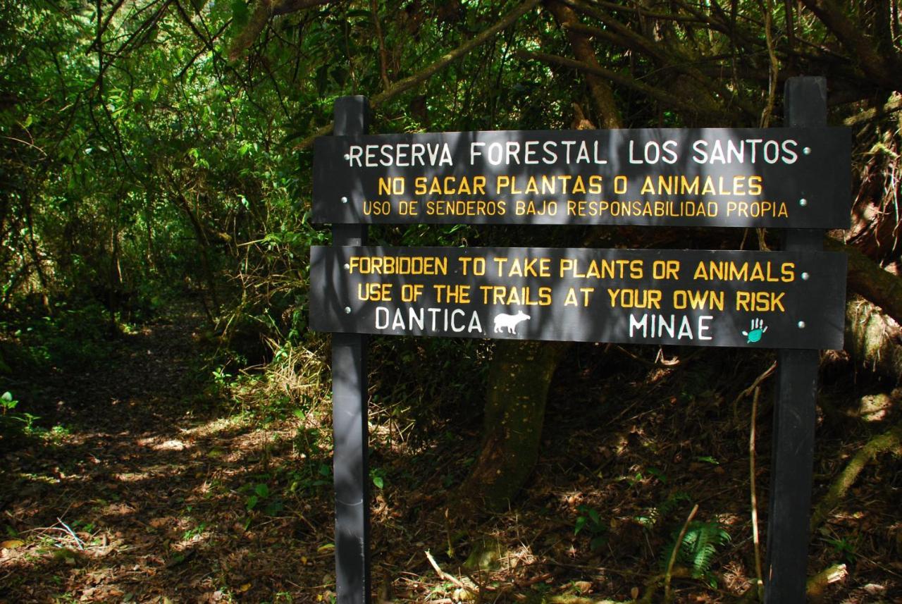 Dantica Cloud Forest Lodge Сан Херардо де Дота Екстериор снимка