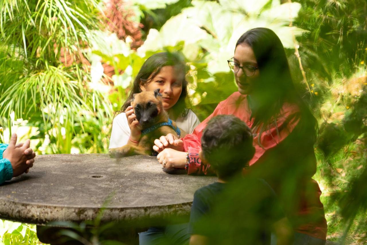 Dantica Cloud Forest Lodge Сан Херардо де Дота Екстериор снимка