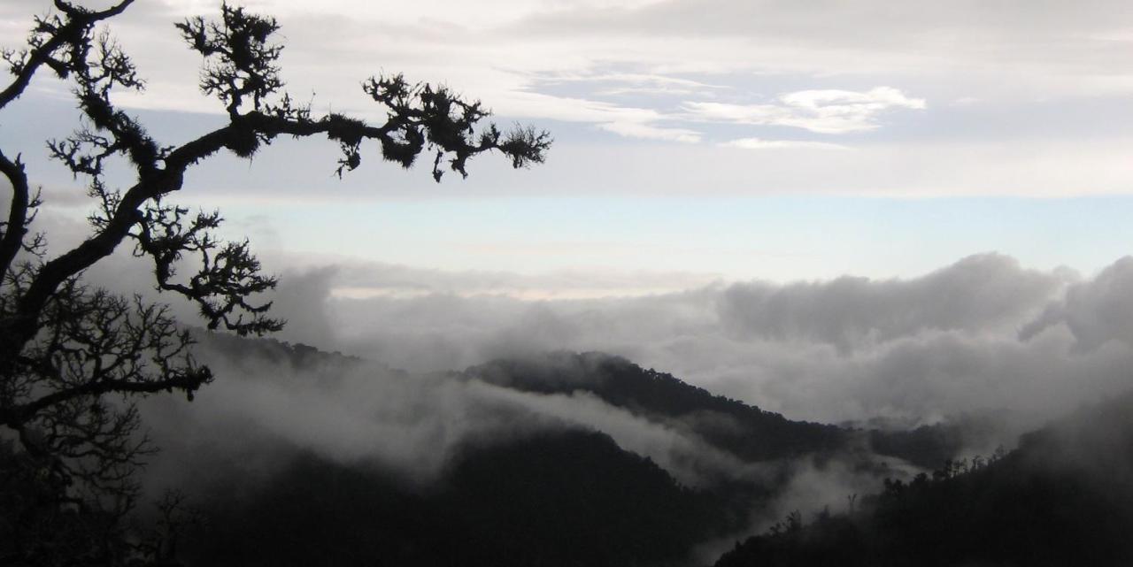 Dantica Cloud Forest Lodge Сан Херардо де Дота Екстериор снимка
