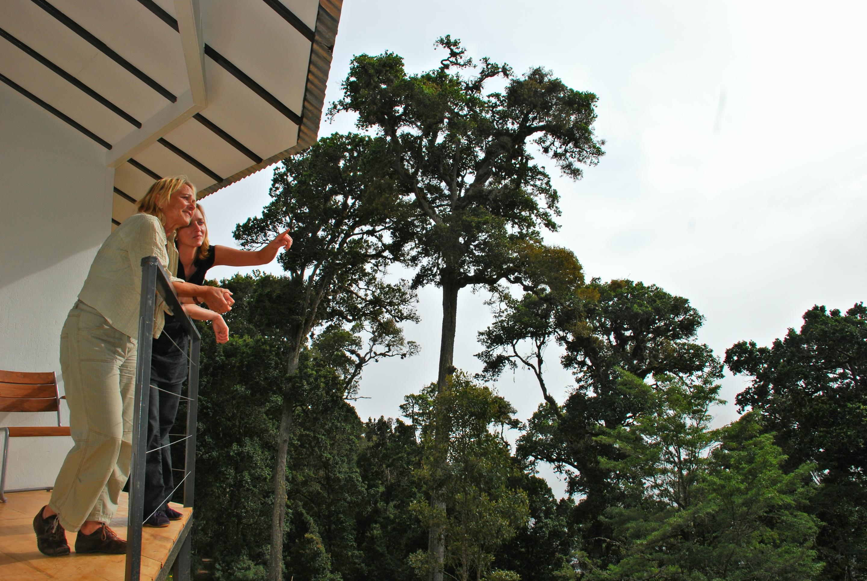 Dantica Cloud Forest Lodge Сан Херардо де Дота Екстериор снимка