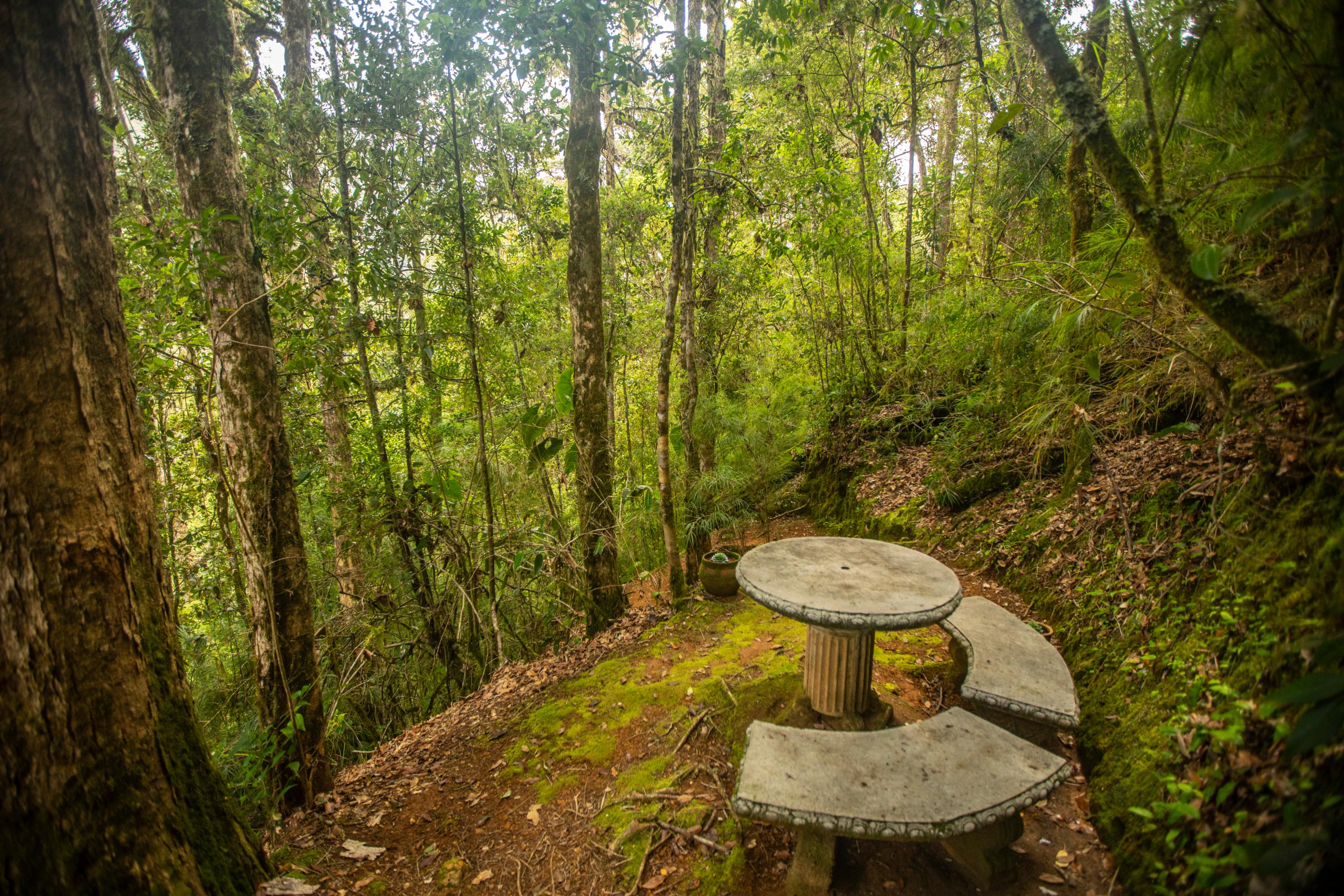 Dantica Cloud Forest Lodge Сан Херардо де Дота Екстериор снимка