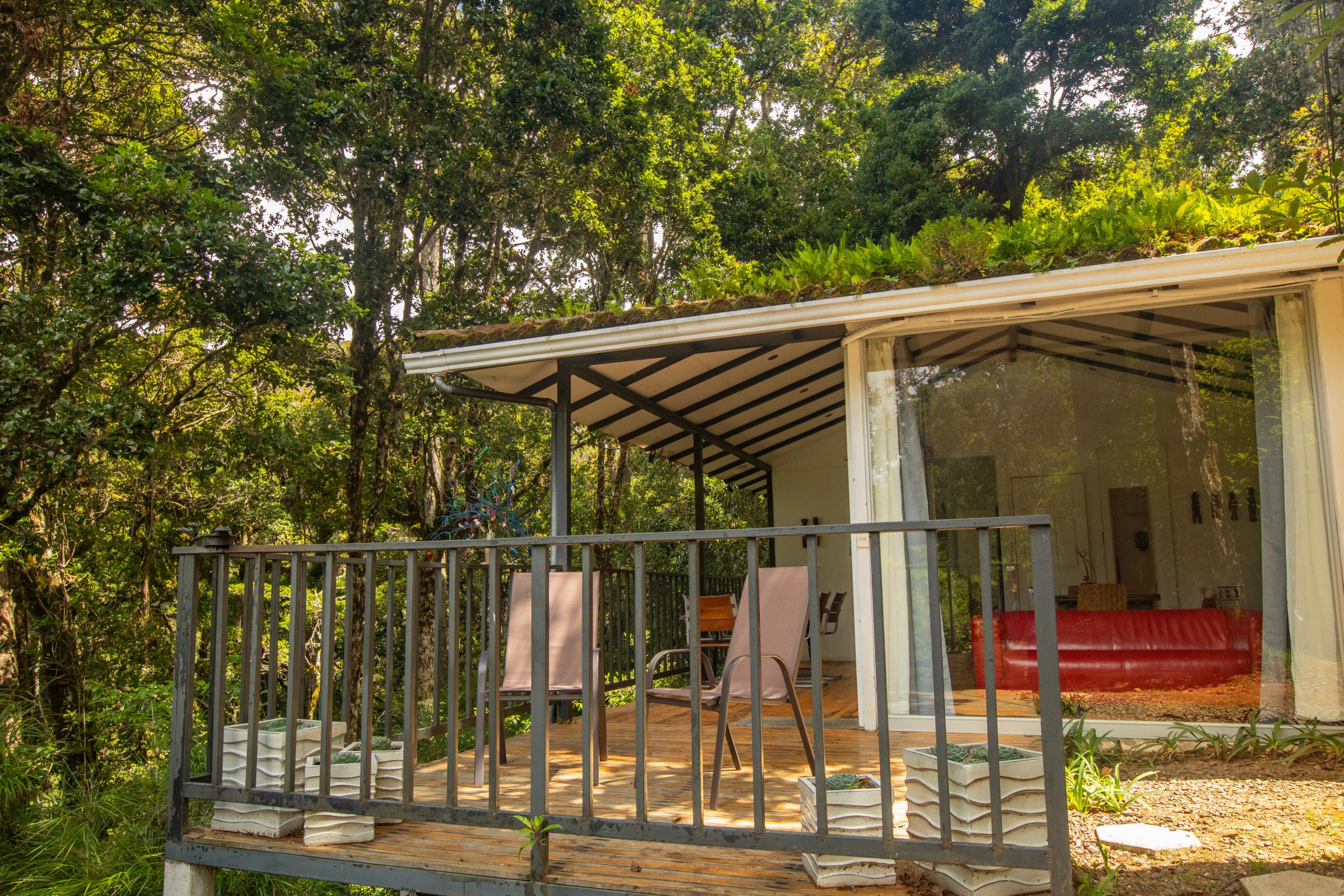 Dantica Cloud Forest Lodge Сан Херардо де Дота Екстериор снимка