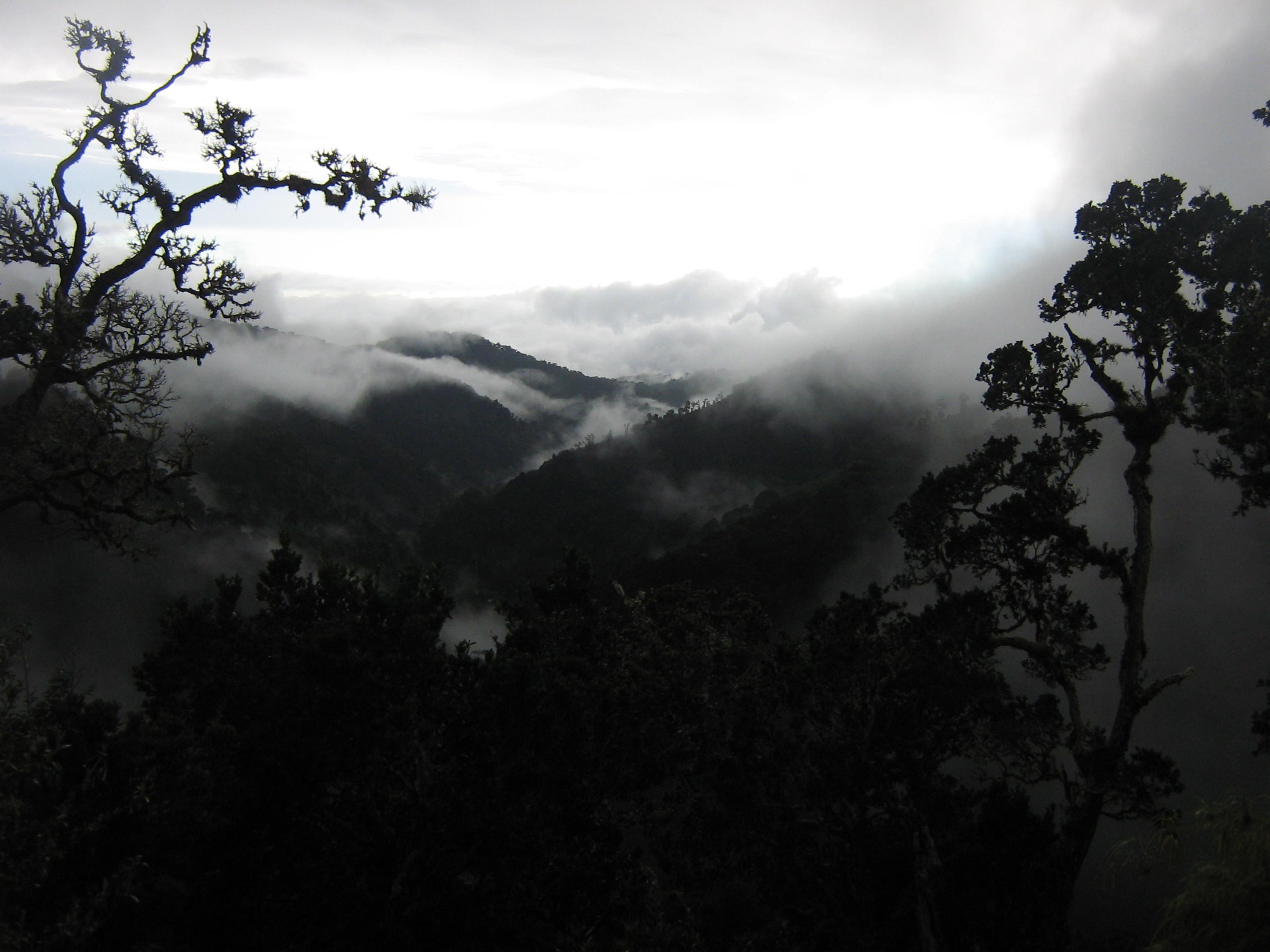 Dantica Cloud Forest Lodge Сан Херардо де Дота Екстериор снимка