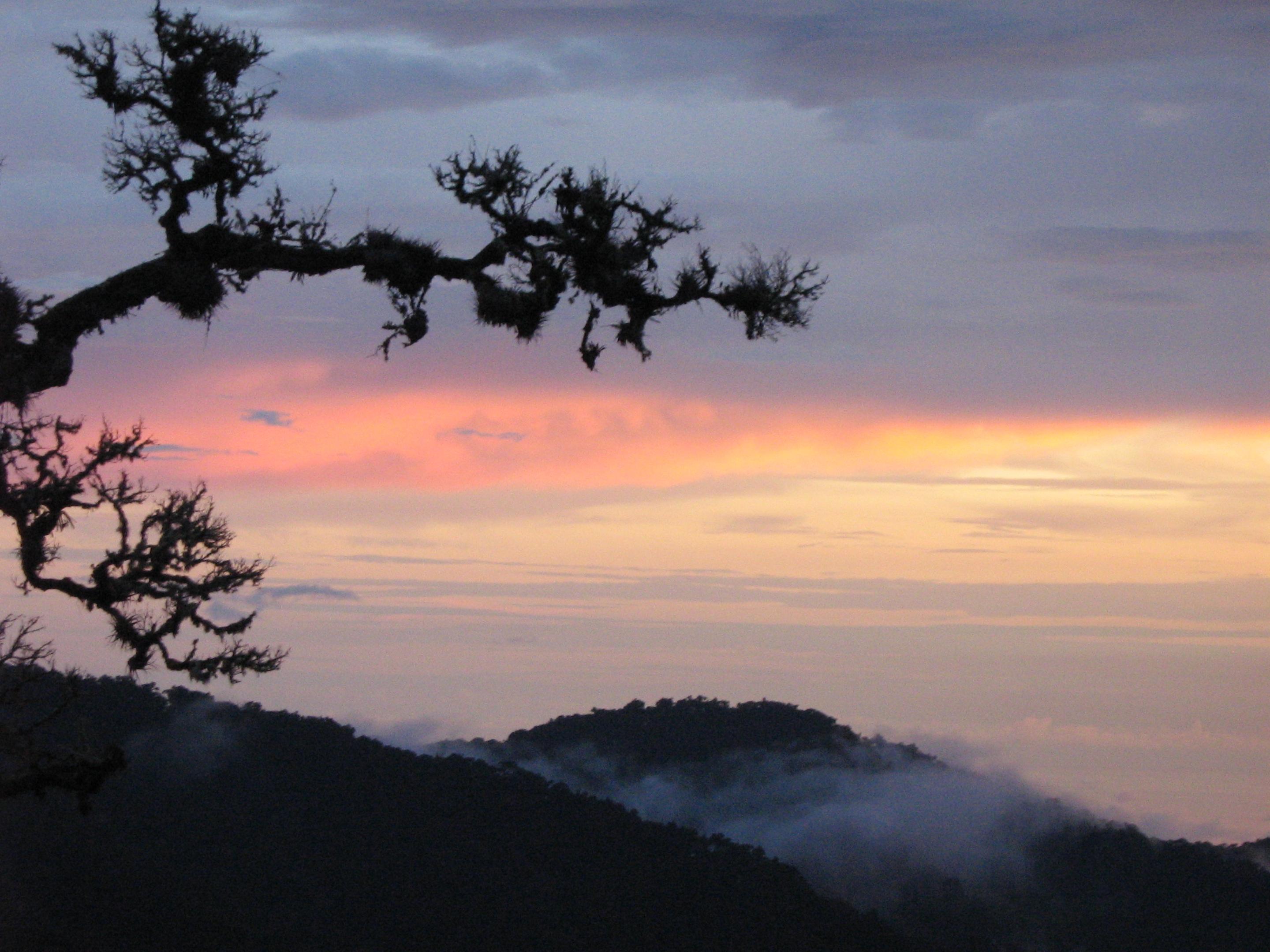 Dantica Cloud Forest Lodge Сан Херардо де Дота Екстериор снимка