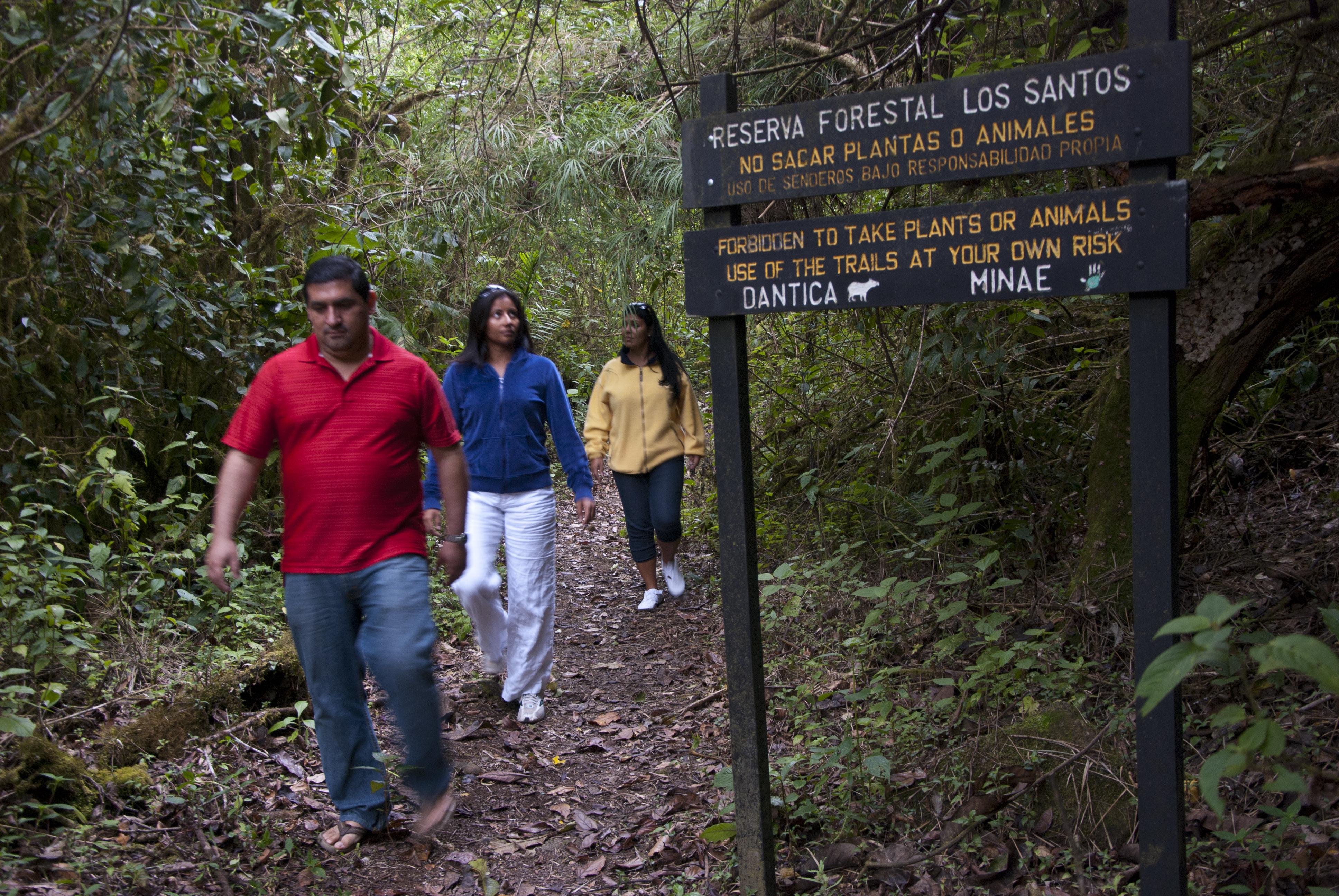 Dantica Cloud Forest Lodge Сан Херардо де Дота Екстериор снимка