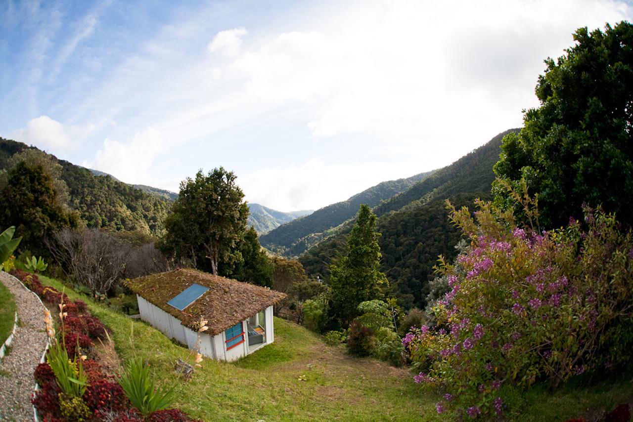 Dantica Cloud Forest Lodge Сан Херардо де Дота Екстериор снимка